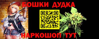спиды Дубна